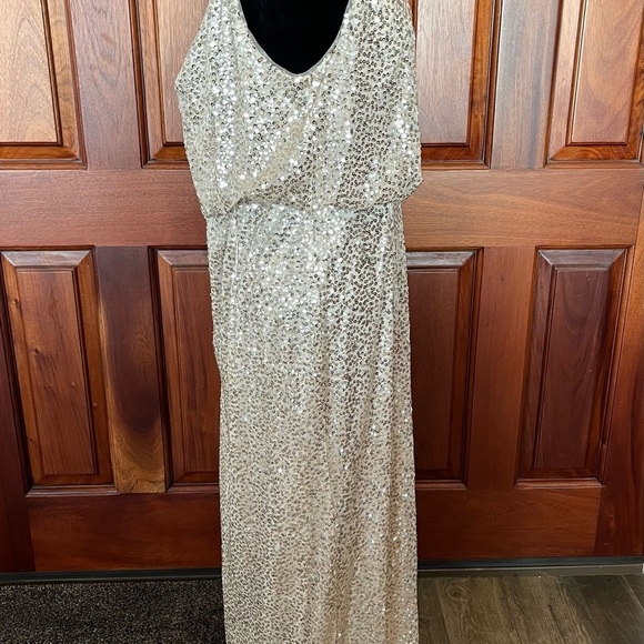 Adrianna Papell Champagne Sequin Beaded V-Neckline Blouson Maxi Gown Dress Sz 12 - Picture 5 of 12